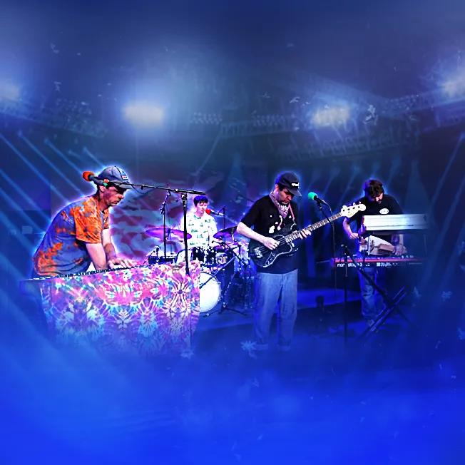 Animal Collective