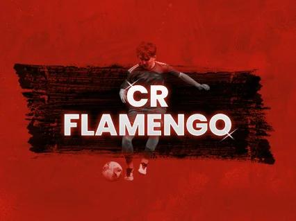Flamengo vs Atletico Mineiro