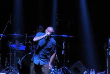 Social Distortion with Descendents