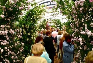 RHS Chelsea Flower Show
