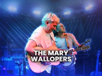 The Mary Wallopers