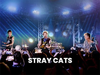 The Stray Cats