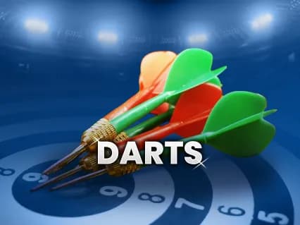 The World Series of Darts Finals