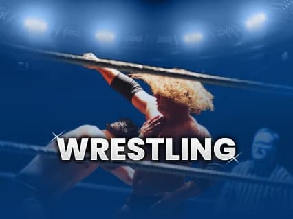 WWE Summer Tour