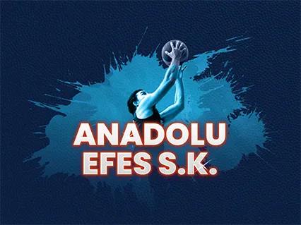 LDLC ASVEL Villeurbanne vs Anadolu Efes Istanbul