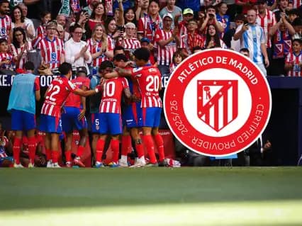 Atletico Madrid vs Malaga CF