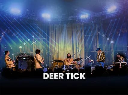 Deer Tick