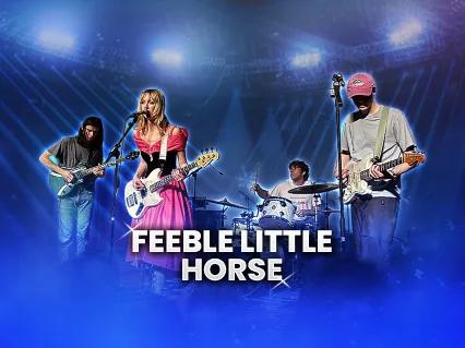 Feeble Little Horse