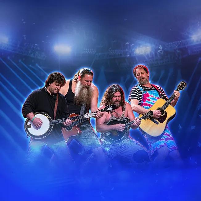 Hayseed Dixie